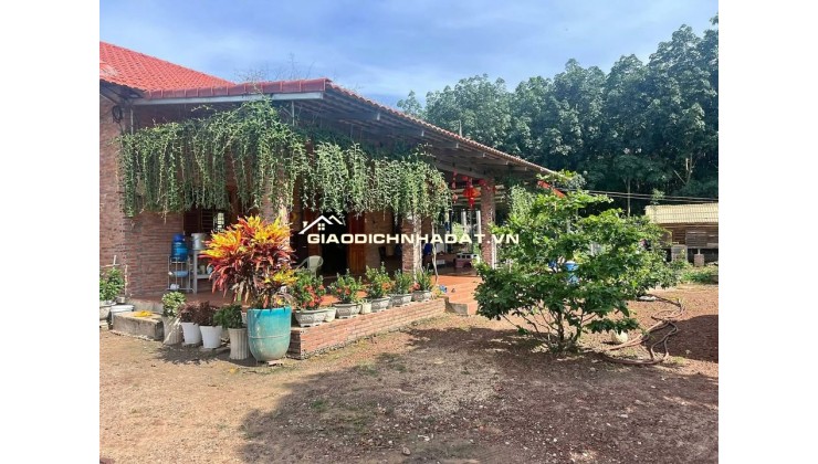 Kinh doanh thua lỗ bán nhanh nhà 2290m2 đất sổ riêng gần ngay khu công nghiệp đang hoạt động. Giá 380tr